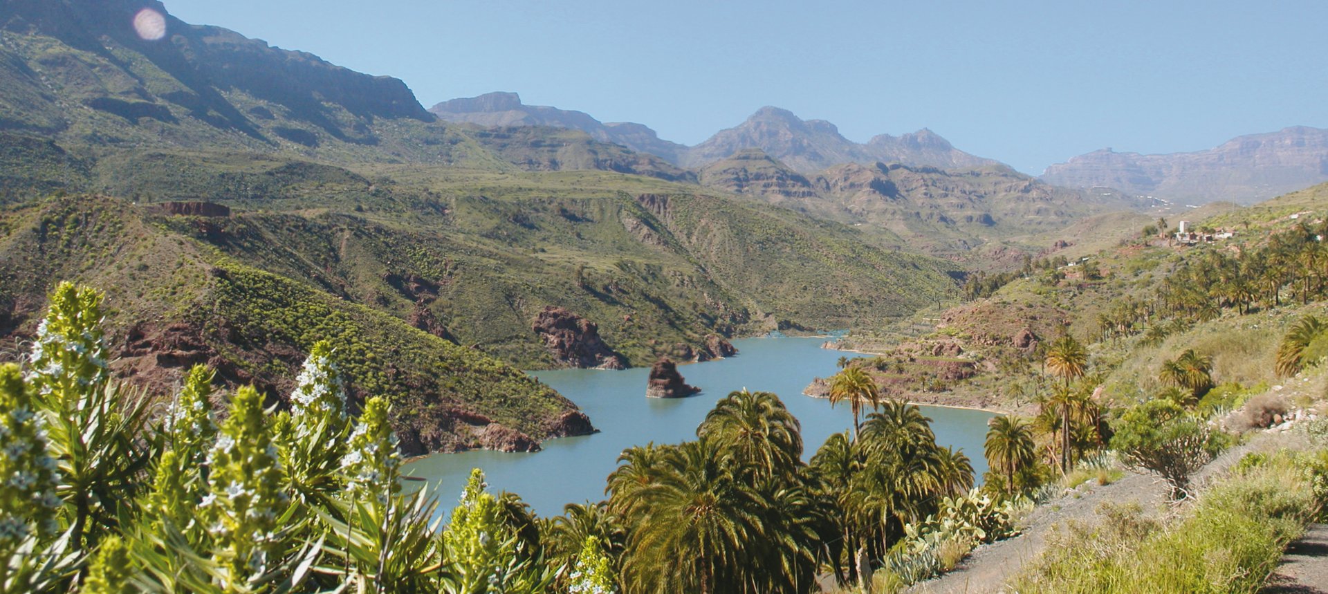 Paisaje rural de las Islas Canarias